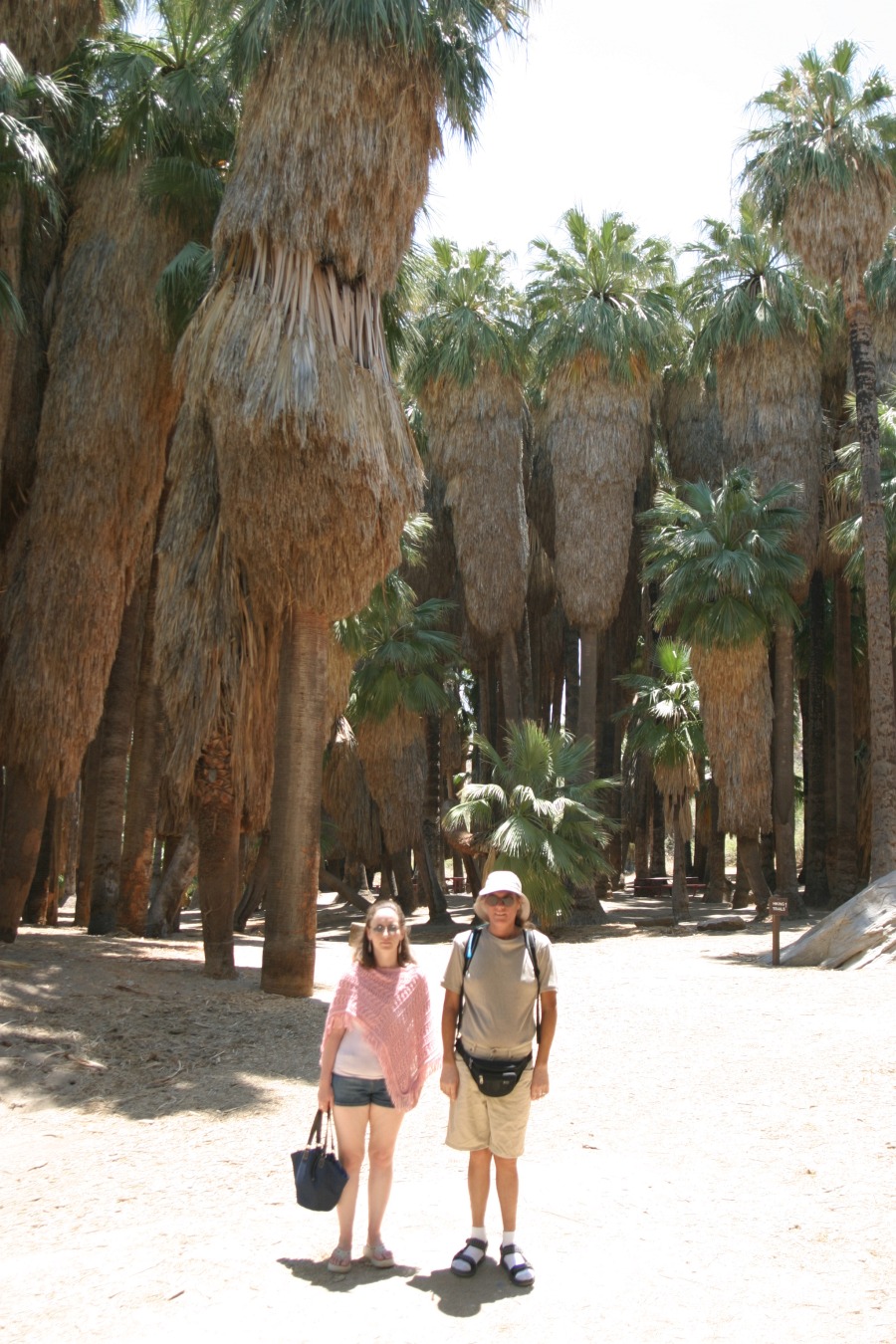 PalmCanyon-032.JPG