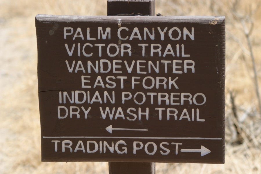 PalmCanyon-095.JPG