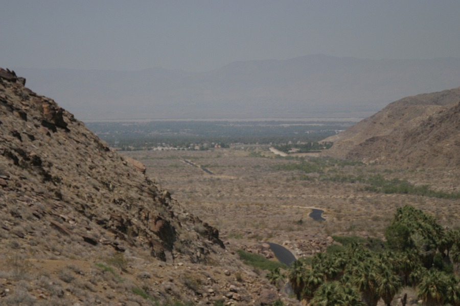 PalmCanyon-157.JPG