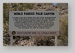 PalmCanyon-001.JPG