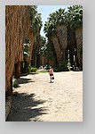 PalmCanyon-028.JPG