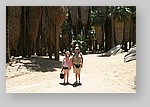 PalmCanyon-035.JPG