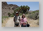 PalmCanyon-096.JPG