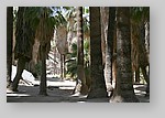 PalmCanyon-137.JPG