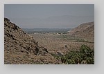 PalmCanyon-157.JPG