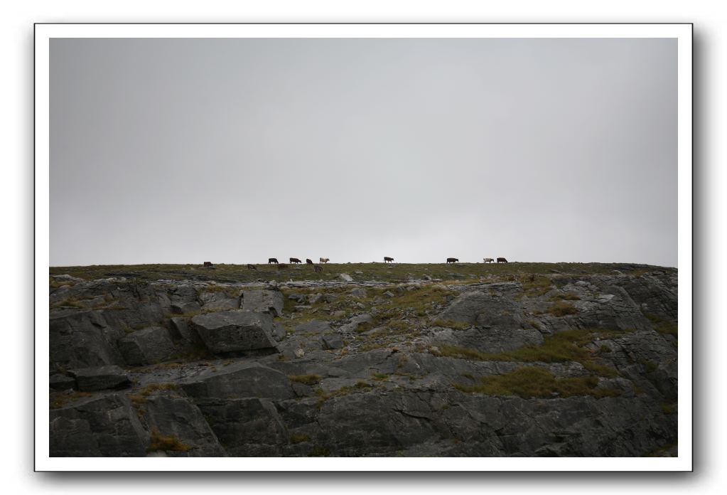 Castle-Dunguaire-Ballyvaughan-Cliffs-of-Moher-3195