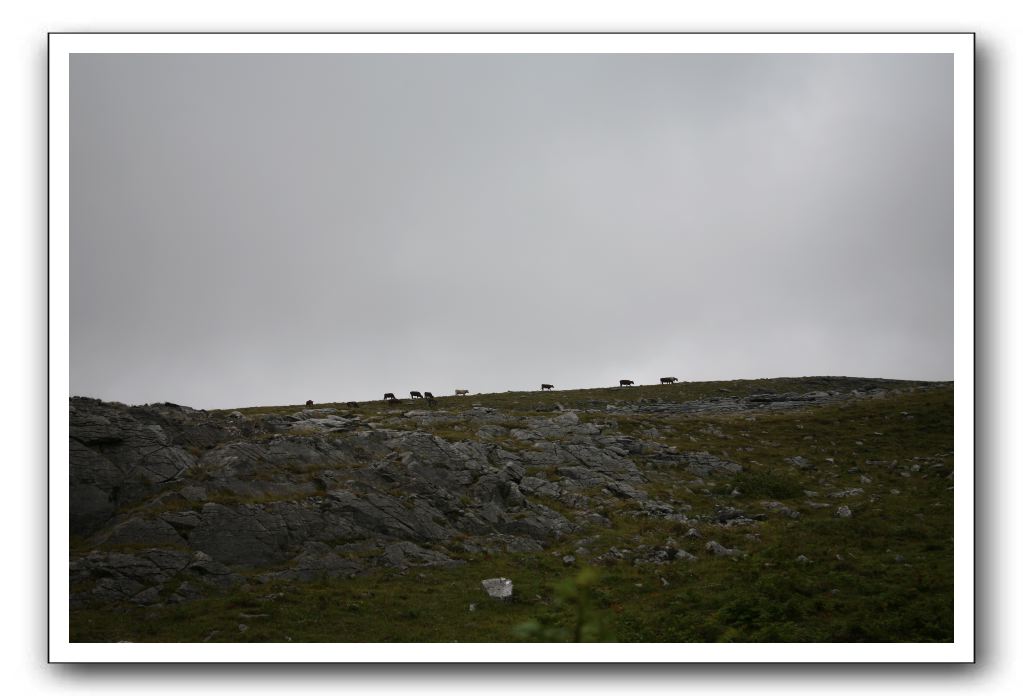 Castle-Dunguaire-Ballyvaughan-Cliffs-of-Moher-3196