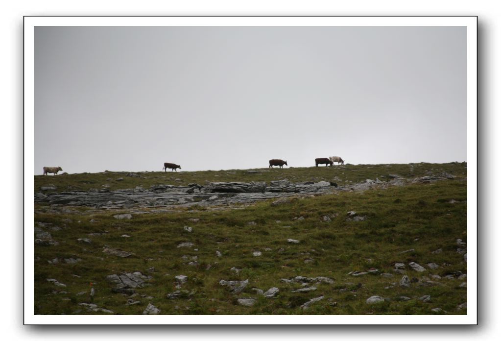 Castle-Dunguaire-Ballyvaughan-Cliffs-of-Moher-3201