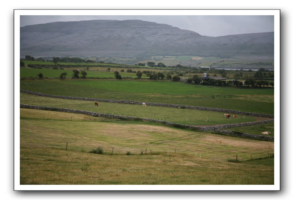 Castle-Dunguaire-Ballyvaughan-Cliffs-of-Moher-3081