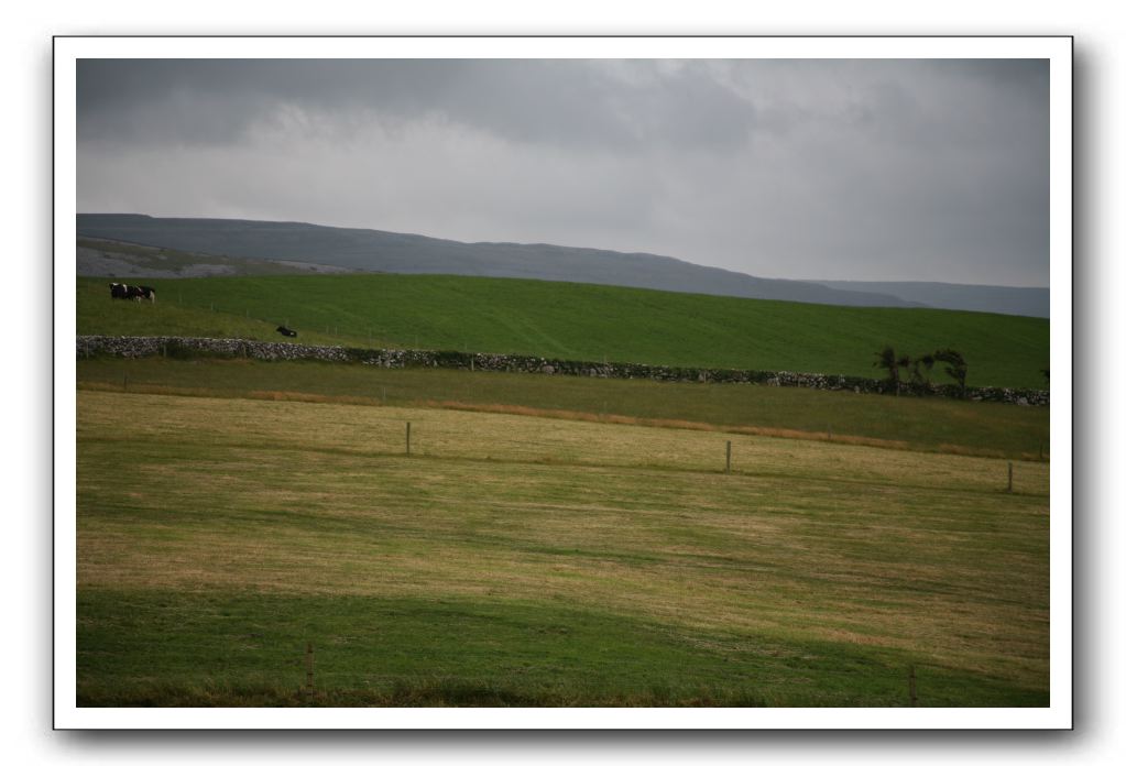 Castle-Dunguaire-Ballyvaughan-Cliffs-of-Moher-3088