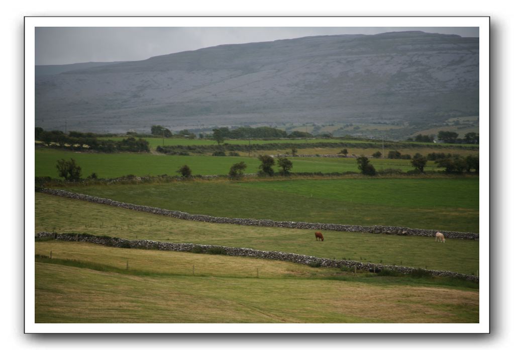 Castle-Dunguaire-Ballyvaughan-Cliffs-of-Moher-3098