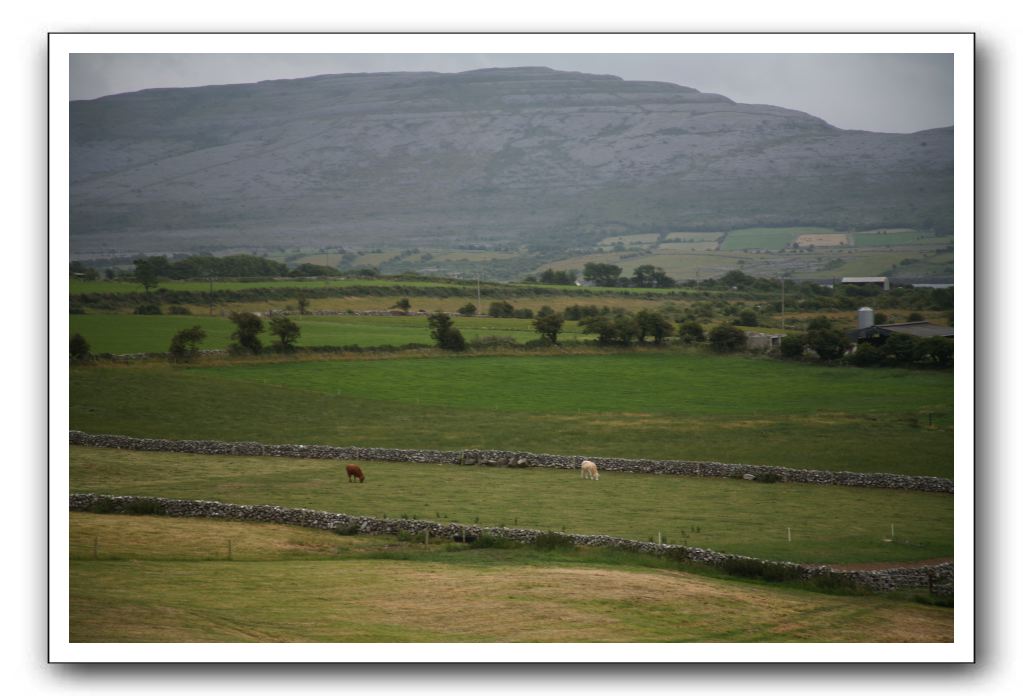 Castle-Dunguaire-Ballyvaughan-Cliffs-of-Moher-3099