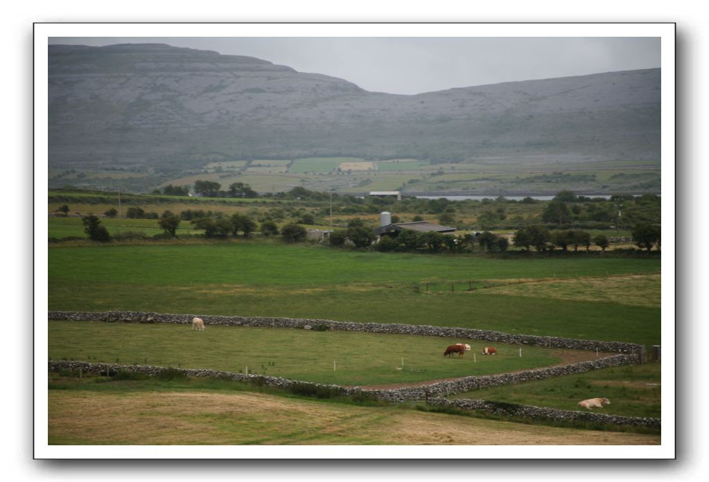 Castle-Dunguaire-Ballyvaughan-Cliffs-of-Moher-3100