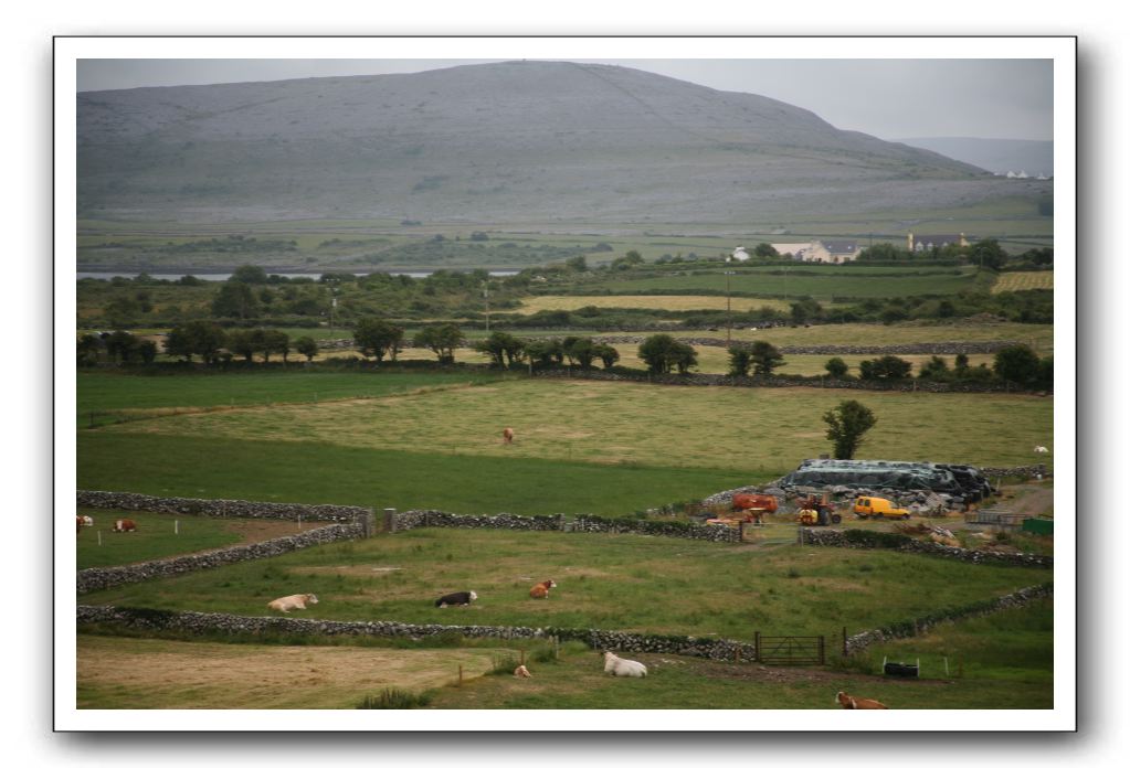 Castle-Dunguaire-Ballyvaughan-Cliffs-of-Moher-3102