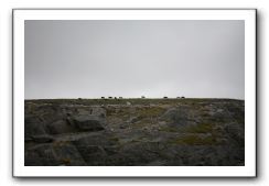 Castle-Dunguaire-Ballyvaughan-Cliffs-of-Moher-3195