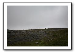 Castle-Dunguaire-Ballyvaughan-Cliffs-of-Moher-3196