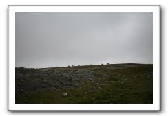 Castle-Dunguaire-Ballyvaughan-Cliffs-of-Moher-3197