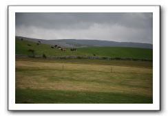 Castle-Dunguaire-Ballyvaughan-Cliffs-of-Moher-3086