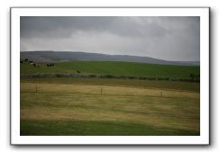 Castle-Dunguaire-Ballyvaughan-Cliffs-of-Moher-3087