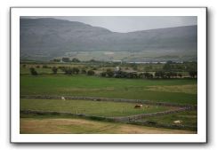 Castle-Dunguaire-Ballyvaughan-Cliffs-of-Moher-3100