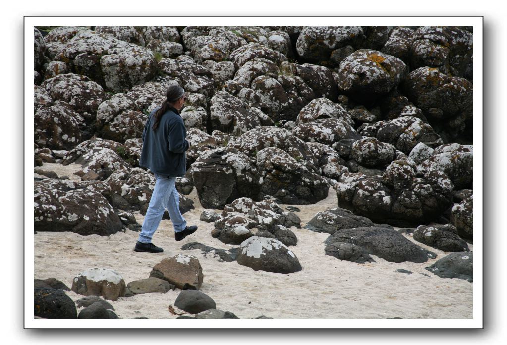 Giants-Causeway-Northern-Ireland-784