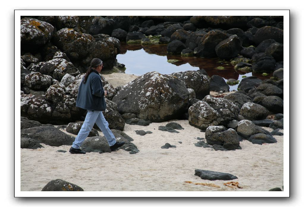 Giants-Causeway-Northern-Ireland-786