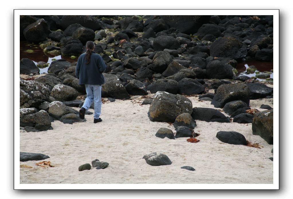 Giants-Causeway-Northern-Ireland-787