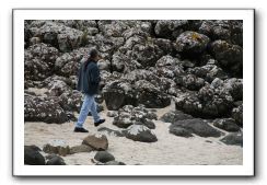 Giants-Causeway-Northern-Ireland-784