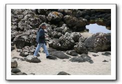 Giants-Causeway-Northern-Ireland-785