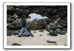 Giants-Causeway-Northern-Ireland-786