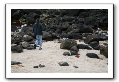 Giants-Causeway-Northern-Ireland-787