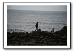 Giants-Causeway-Northern-Ireland-837