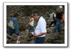 Giants-Causeway-Northern-Ireland-949