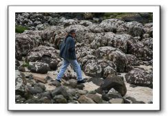 Giants-Causeway-Northern-Ireland-781