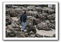 Giants-Causeway-Northern-Ireland-782