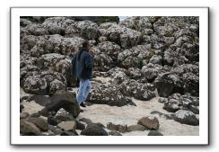 Giants-Causeway-Northern-Ireland-783