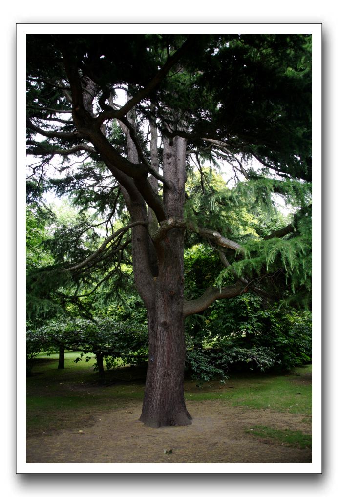 Royal Botanic Garden, Edinburgh,  Scotland 544