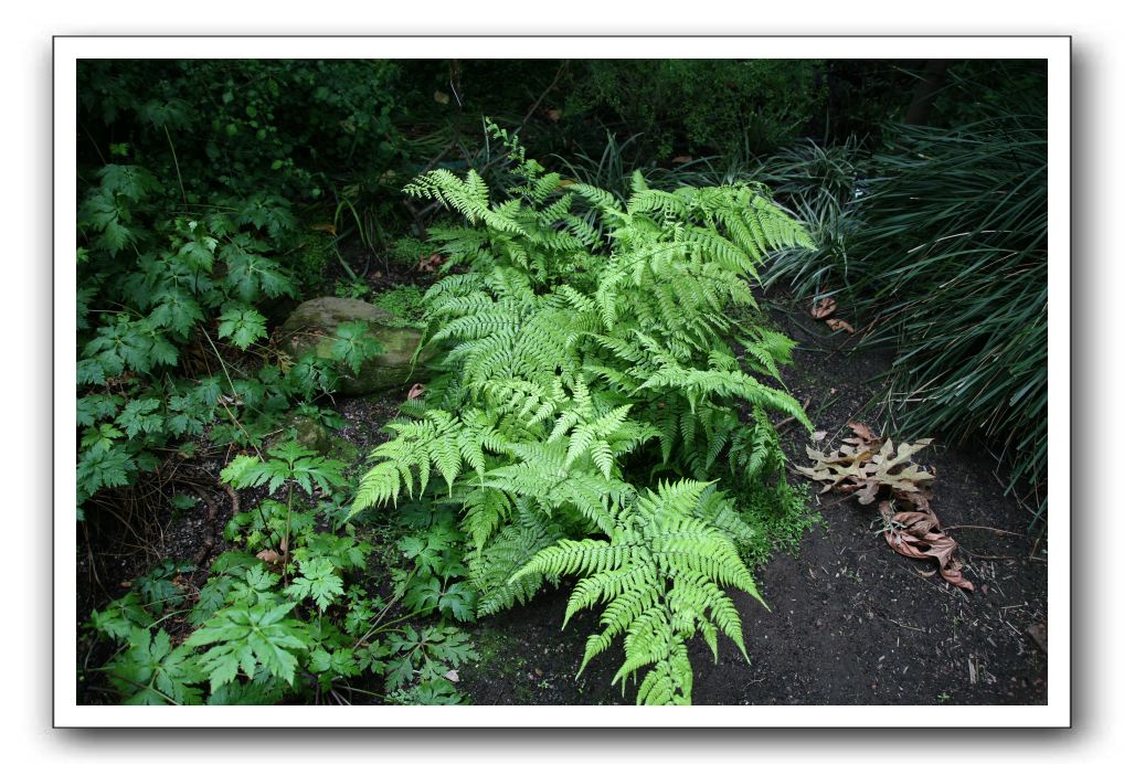 Royal Botanic Garden, Edinburgh,  Scotland 729