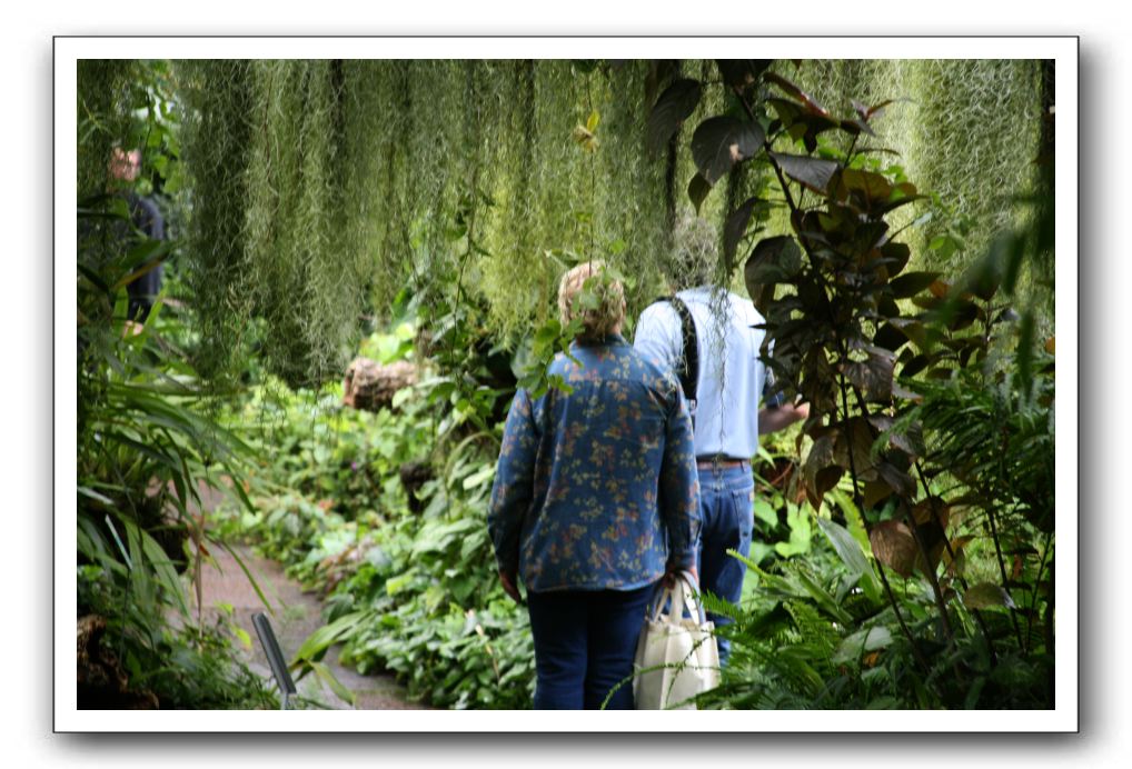 Royal Botanic Garden, Edinburgh,  Scotland 769