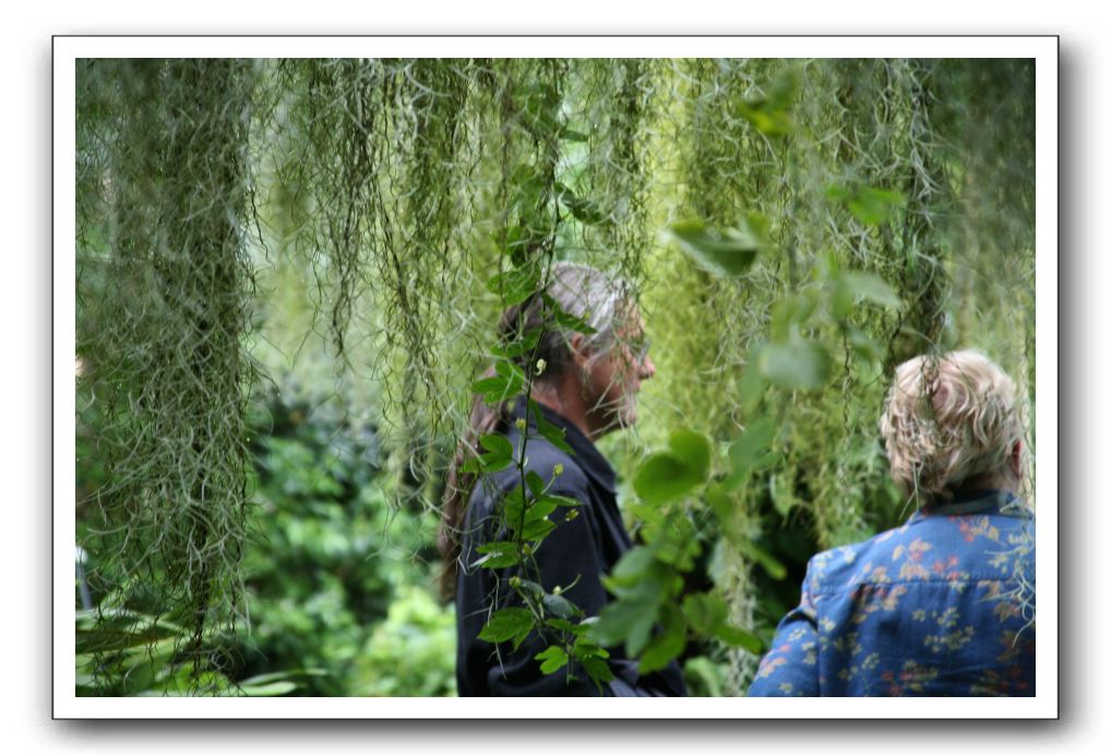 Royal Botanic Garden, Edinburgh,  Scotland 772