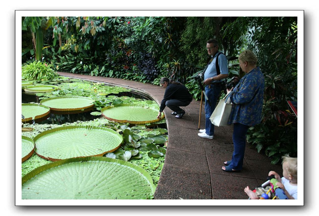 Royal Botanic Garden, Edinburgh,  Scotland 782