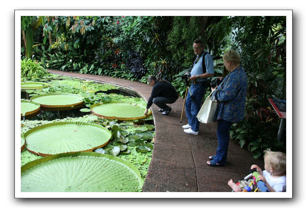 Royal Botanic Garden, Edinburgh,  Scotland 783