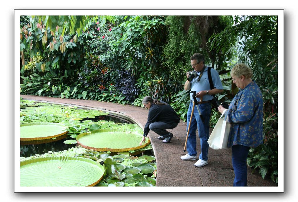 Royal Botanic Garden, Edinburgh,  Scotland 784