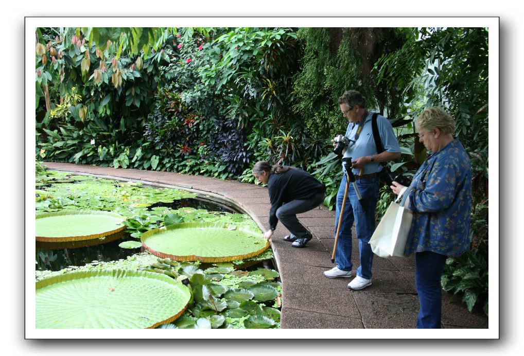 Royal Botanic Garden, Edinburgh,  Scotland 785