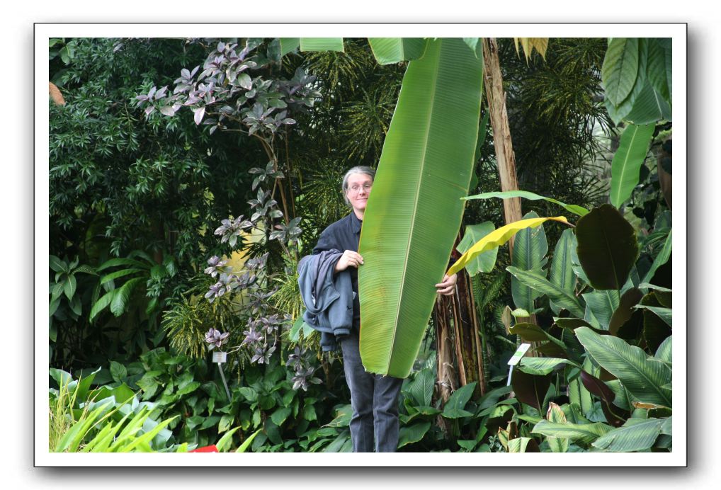 Royal Botanic Garden, Edinburgh,  Scotland 789