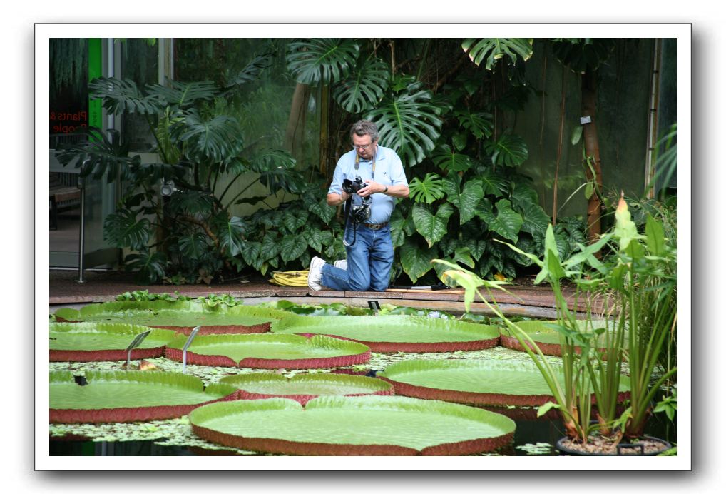 Royal Botanic Garden, Edinburgh,  Scotland 800