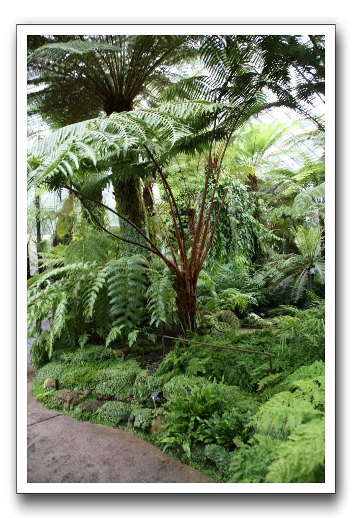 Royal Botanic Garden, Edinburgh,  Scotland 818