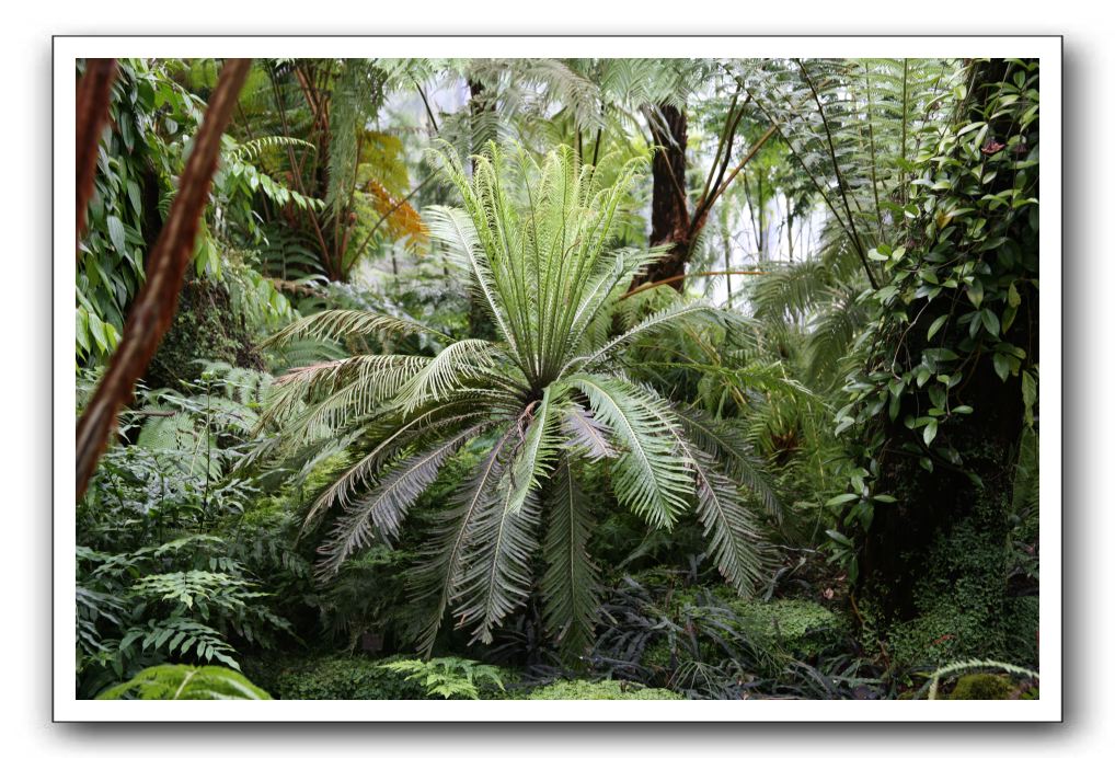 Royal Botanic Garden, Edinburgh,  Scotland 822