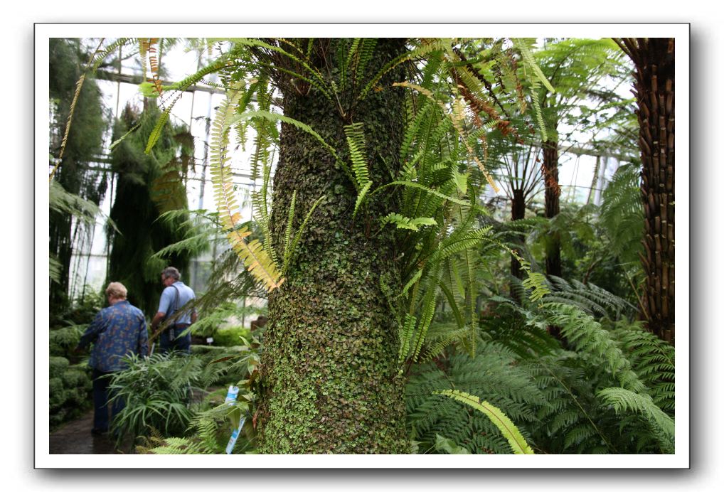 Royal Botanic Garden, Edinburgh,  Scotland 828