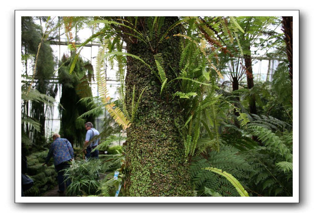 Royal Botanic Garden, Edinburgh,  Scotland 829